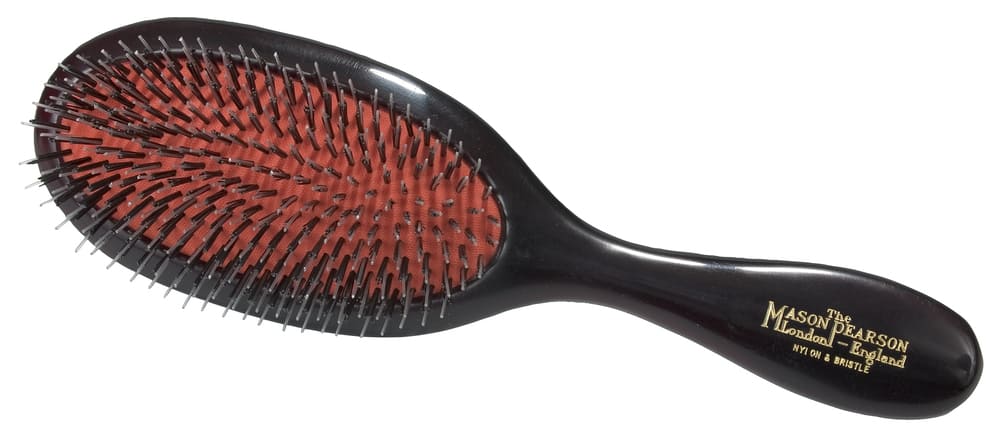 Handy Bristle and Nylon Brush