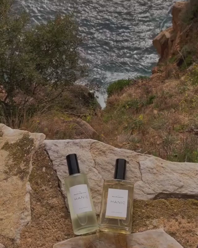 Hanic Home Spray